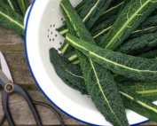 Palmkool in de moestuin